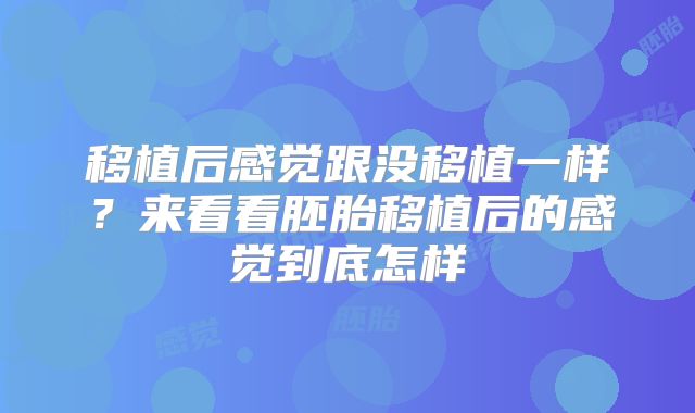 移植后感觉跟没移植一样?来看看胚胎移植后的感觉到底怎样