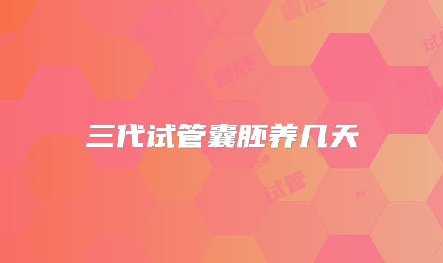 三代试管囊胚养几天