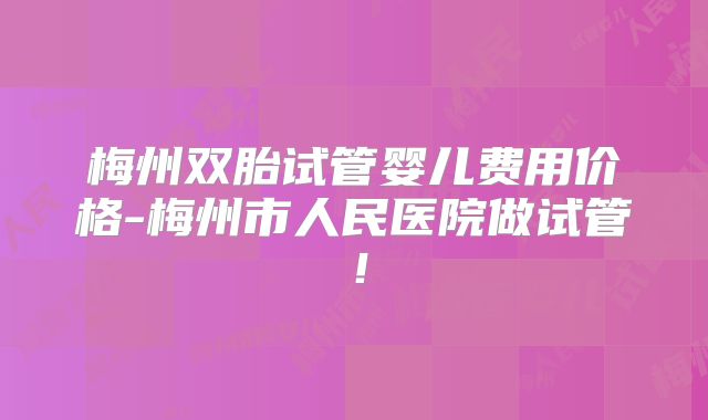 梅州双胎试管婴儿费用价格-梅州市人民医院做试管!