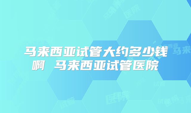 马来西亚试管大约多少钱啊 马来西亚试管医院