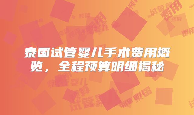 泰国试管婴儿手术费用概览,全程预算明细揭秘