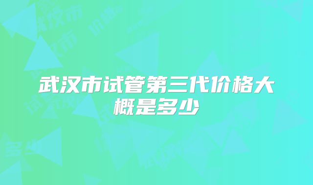 武汉市试管第三代价格大概是多少