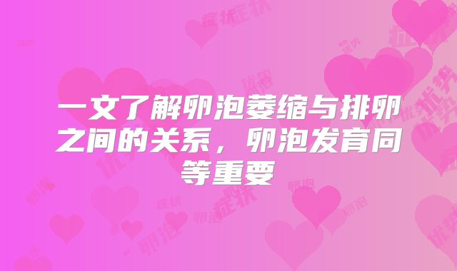 一文了解卵泡萎缩与排卵之间的关系，卵泡发育同等重要