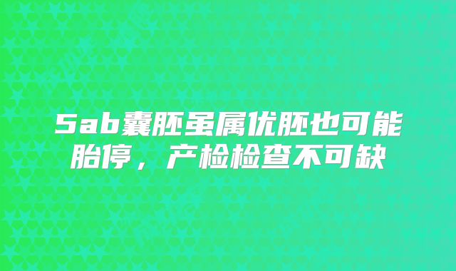5ab囊胚虽属优胚也可能胎停，产检检查不可缺
