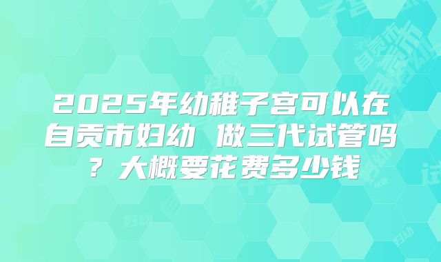 2025年幼稚子宫可以在自贡市妇幼 做三代试管吗？大概要花费多少钱