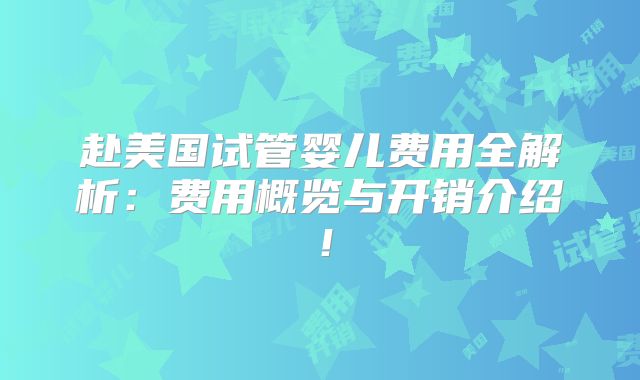 赴美国试管婴儿费用全解析:费用概览与开销介绍!