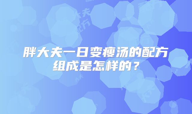 胖大夫一日变瘦汤的配方组成是怎样的？