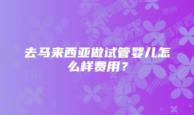 去马来西亚做试管婴儿怎么样费用？
