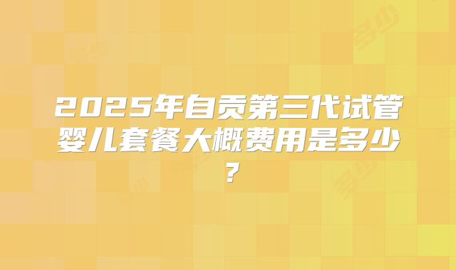 2025年自贡第三代试管婴儿套餐大概费用是多少？