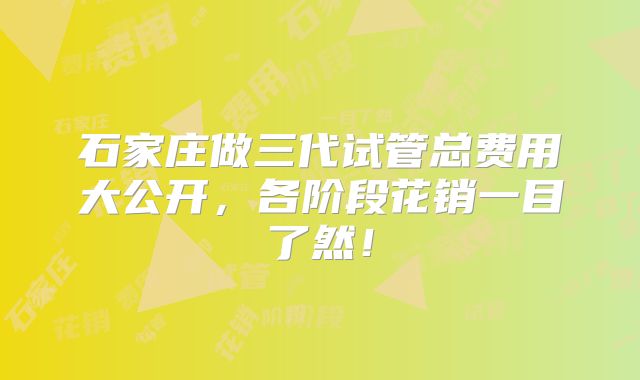 石家庄做三代试管总费用大公开，各阶段花销一目了然！