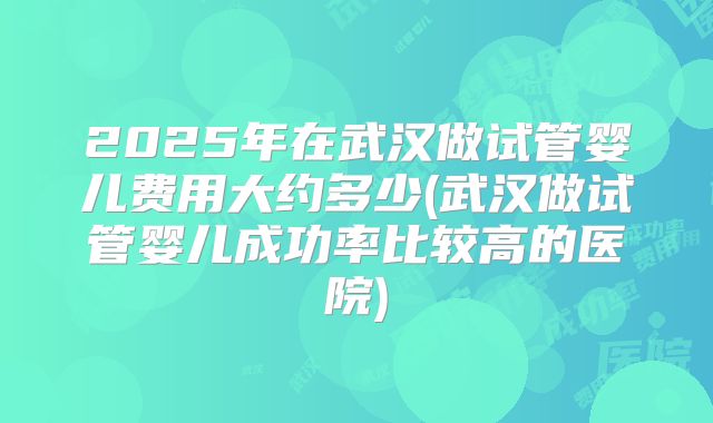 2025年在武汉做试管婴儿费用大约多少(武汉做试管婴儿成功率比较高的医院)