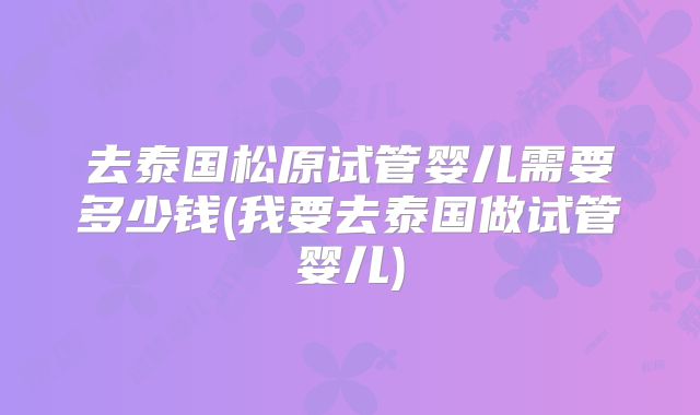 去泰国松原试管婴儿需要多少钱(我要去泰国做试管婴儿)