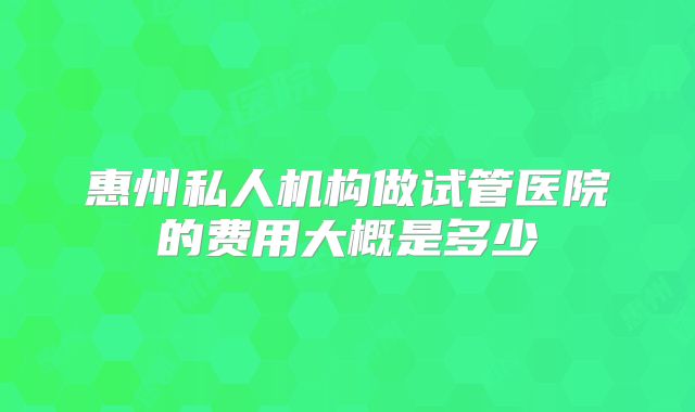 惠州私人机构做试管医院的费用大概是多少
