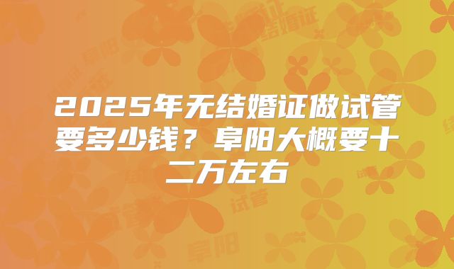 2025年无结婚证做试管要多少钱？阜阳大概要十二万左右