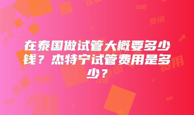 在泰国做试管大概要多少钱?杰特宁试管费用是多少?