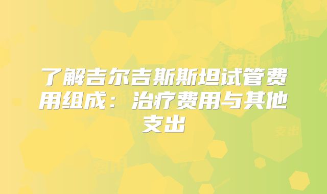 了解吉尔吉斯斯坦试管费用组成：治疗费用与其他支出