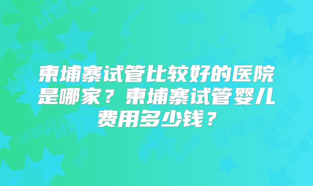 柬埔寨试管比较好的医院是哪家？柬埔寨试管婴儿费用多少钱？