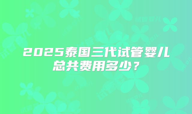 2025泰国三代试管婴儿总共费用多少？