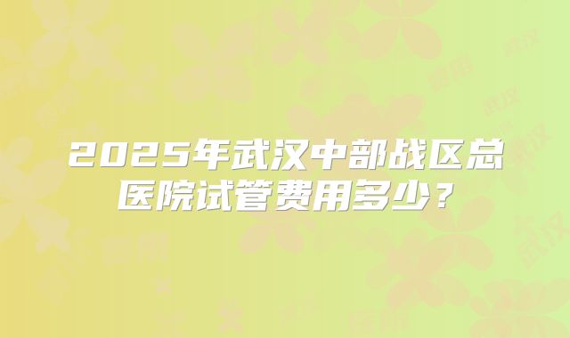 2025年武汉中部战区总医院试管费用多少？