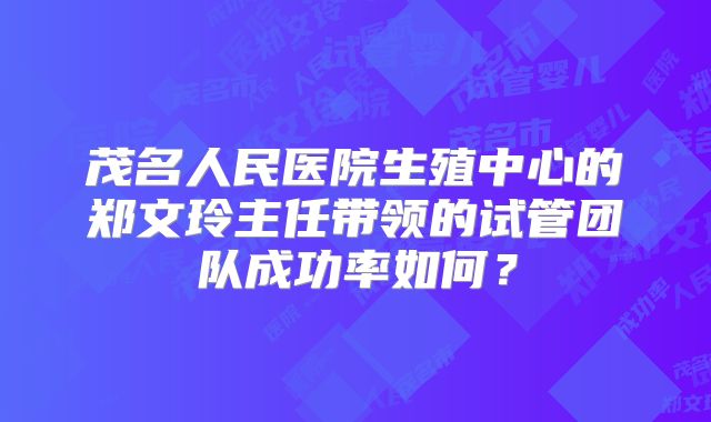 茂名人民医院生殖中心的郑文玲主任带领的试管团队成功率如何?