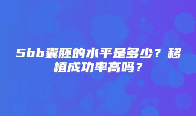5bb囊胚的水平是多少?移植成功率高吗?