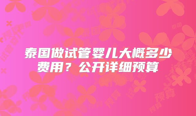 泰国做试管婴儿大概多少费用？公开详细预算
