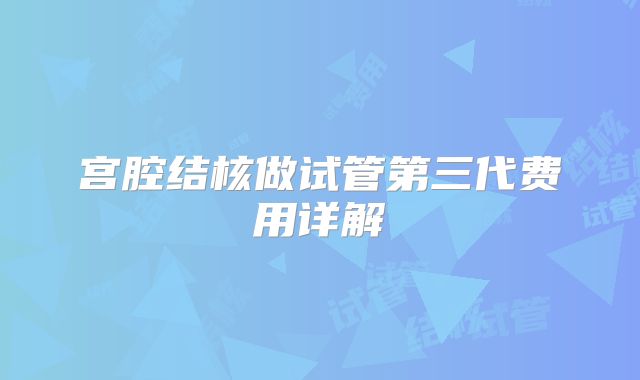 宫腔结核做试管第三代费用详解