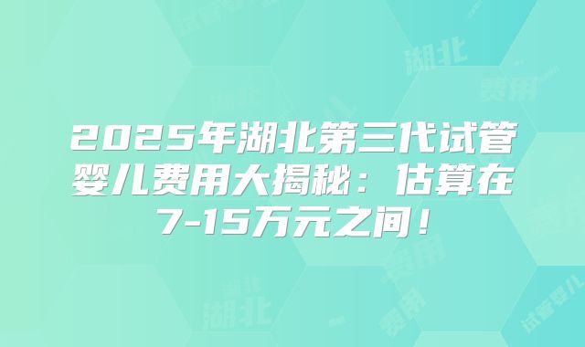 2025年湖北第三代试管婴儿费用大揭秘：估算在7-15万元之间！