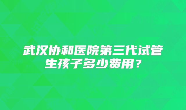 武汉协和医院第三代试管生孩子多少费用？