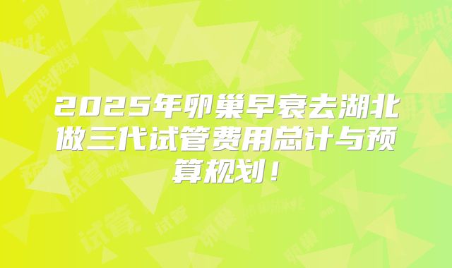 2025年卵巢早衰去湖北做三代试管费用总计与预算规划!