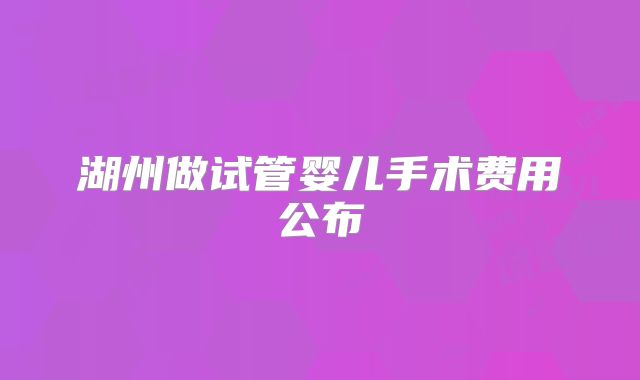 湖州做试管婴儿手术费用公布