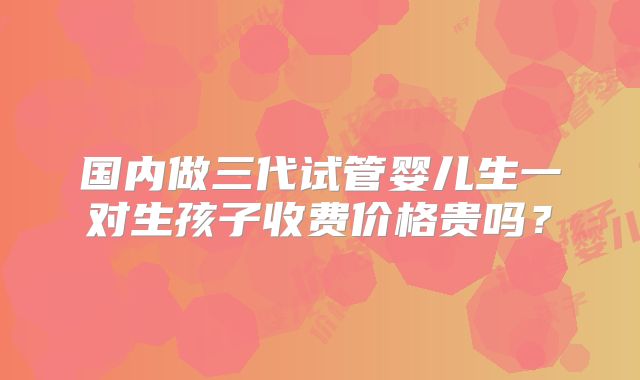 国内做三代试管婴儿生一对生孩子收费价格贵吗？