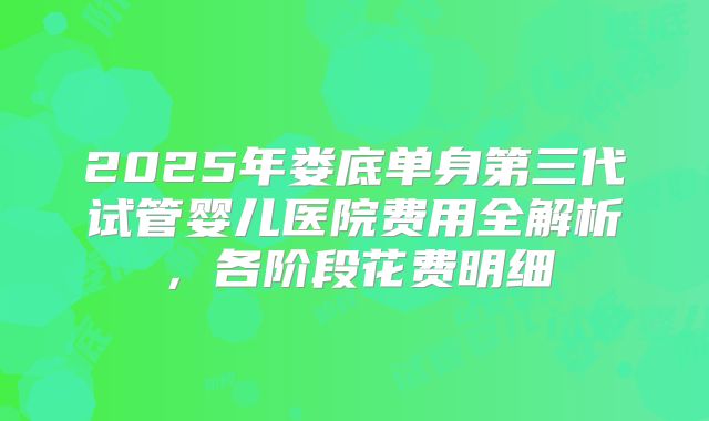 2025年娄底单身第三代试管婴儿医院费用全解析，各阶段花费明细