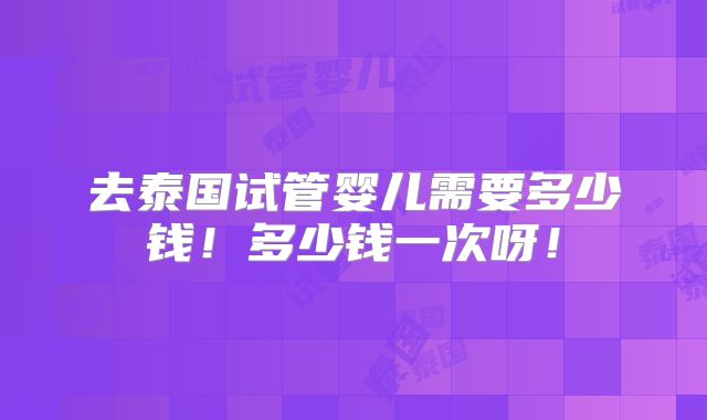 去泰国试管婴儿需要多少钱！多少钱一次呀！