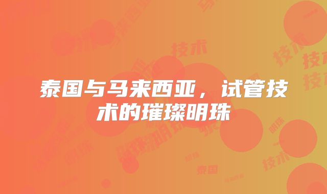 泰国与马来西亚，试管技术的璀璨明珠