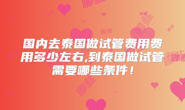 国内去泰国做试管费用费用多少左右,到泰国做试管需要哪些条件!