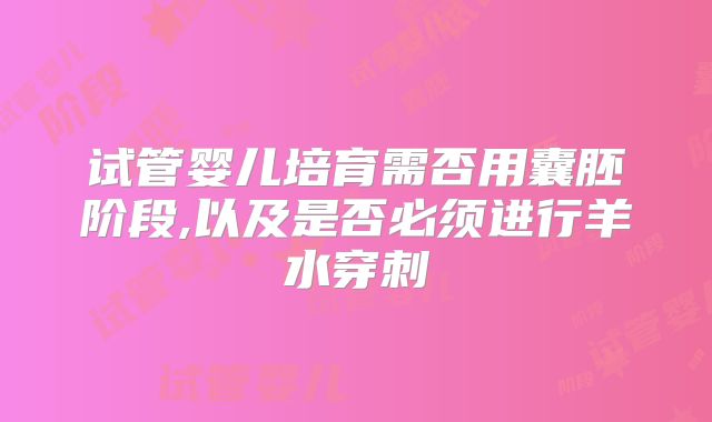 试管婴儿培育需否用囊胚阶段,以及是否必须进行羊水穿刺