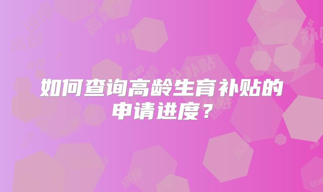 如何查询高龄生育补贴的申请进度？