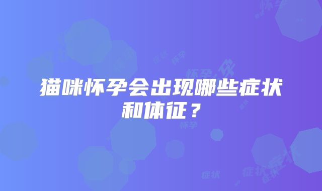 猫咪怀孕会出现哪些症状和体征？