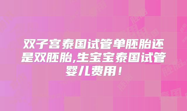 双子宫泰国试管单胚胎还是双胚胎,生宝宝泰国试管婴儿费用！