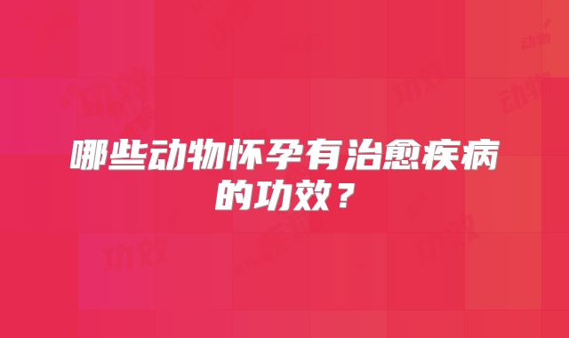 哪些动物怀孕有治愈疾病的功效？