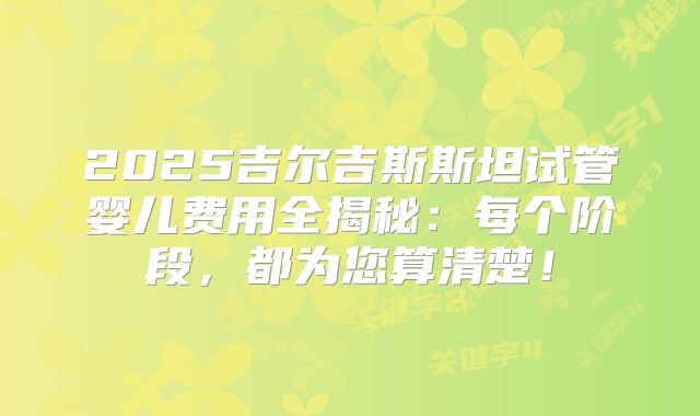 2025吉尔吉斯斯坦试管婴儿费用全揭秘:每个阶段,都为您算清楚!