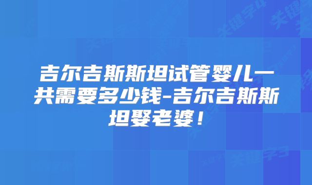 吉尔吉斯斯坦试管婴儿一共需要多少钱-吉尔吉斯斯坦娶老婆！