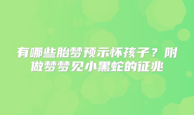 有哪些胎梦预示怀孩子?附做梦梦见小黑蛇的征兆