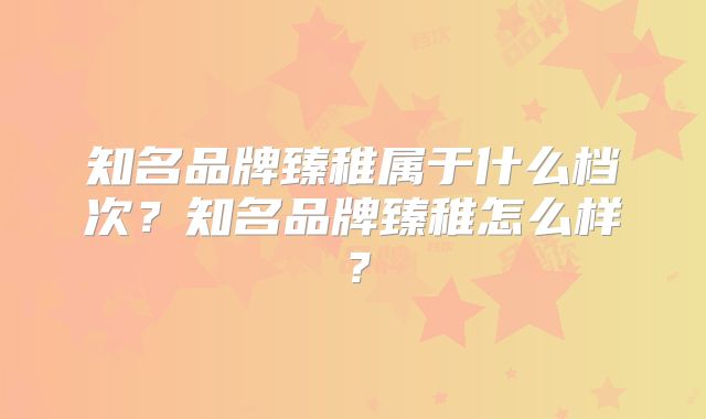 知名品牌臻稚属于什么档次？知名品牌臻稚怎么样？