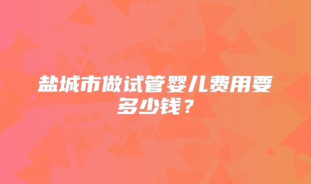 盐城市做试管婴儿费用要多少钱？