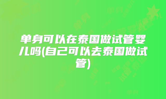 单身可以在泰国做试管婴儿吗(自己可以去泰国做试管)