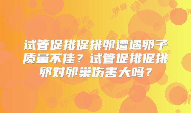 试管促排促排卵遭遇卵子质量不佳？试管促排促排卵对卵巢伤害大吗？