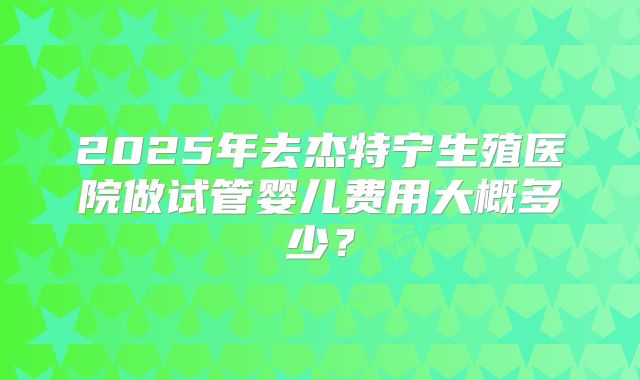 2025年去杰特宁生殖医院做试管婴儿费用大概多少？