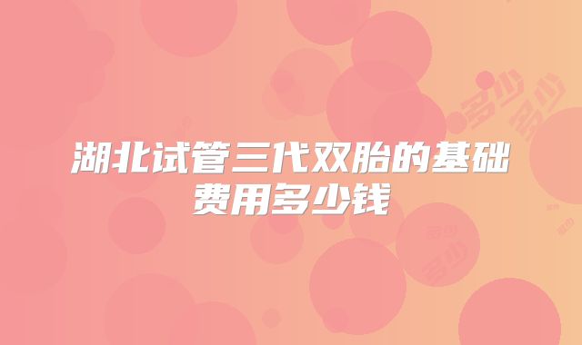 湖北试管三代双胎的基础费用多少钱